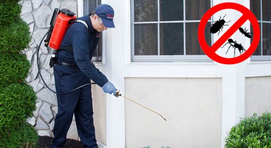 Esenler Hamam Böceği İlaçlama böcek ilaçlama ve haşere kontrolü — ilaclama-tr.com
